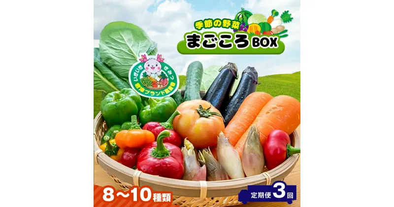 【ふるさと納税】 定期便 3回 季節の野菜 8～10種類 まごころBOX 送料無料 【月1回 計3回】 | 人気の直売所 新鮮野菜 直送 JA きみつ 味楽囲（みらい）さだもと店 きみつ