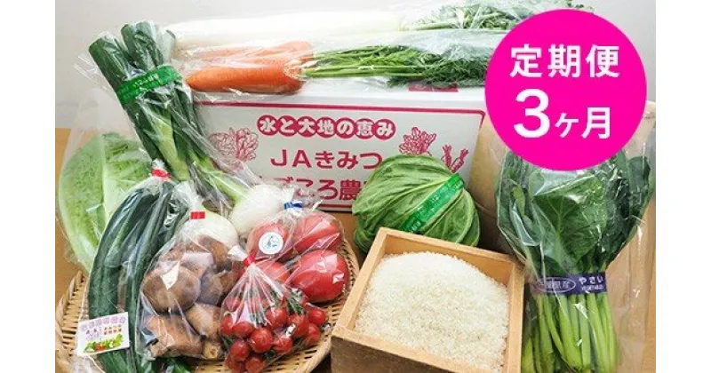 【ふるさと納税】【新米】定期便 3回 君津市産 季節の野菜8〜10種類 季節の野菜まごころBOX×【月1回・計3回】 ＆ 君津市産 令和6年産 コシヒカリ 精米 3kg ×【月1回・計3回】 | 送料無料 JAきみつ味楽囲（みらい）さだもと店 人気の直売所 君津市 きみつ 千葉県