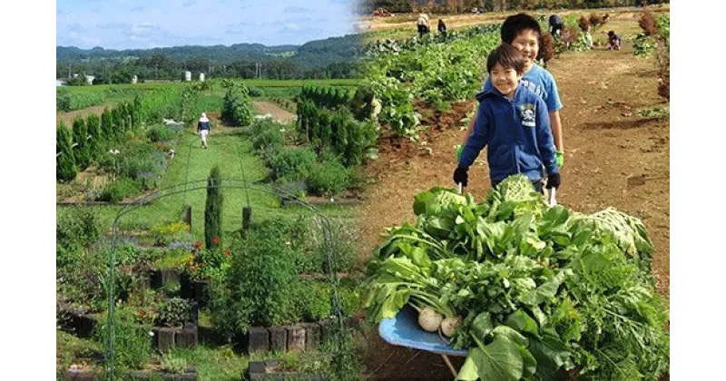 【ふるさと納税】】会員制 貸農園 「カズサ愛彩ガーデンファーム」 年間会員権（5坪） | 送料無料 体験型リゾート農園 収穫体験 野菜の収穫 フルサポート付き 株式会社 アグリライフ倶楽部 君津市