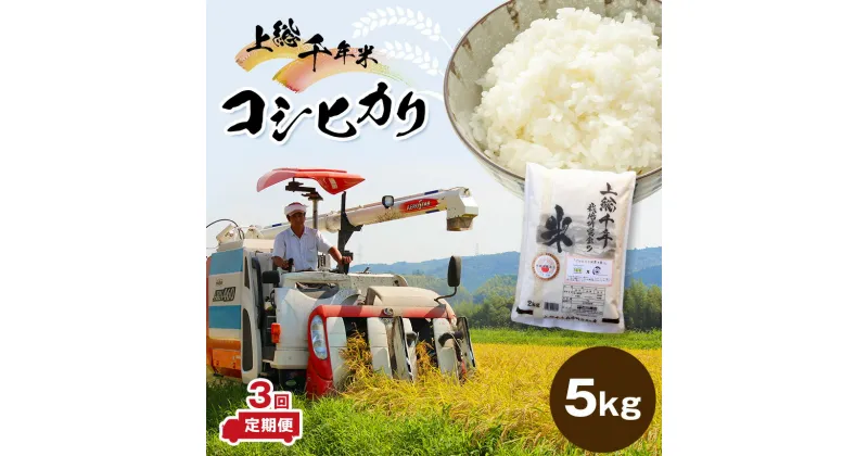 【ふるさと納税】 米 定期便 上総千年米 コシヒカリ 5kg 3ヶ月 送料無料 計15kg 令和6年産 お米のソムリエが厳選 白米 精米 粒立ちが大きく 甘みもあり 粘り強い お米と雑穀の専門店 石川商店 君津市 きみつ 千葉県