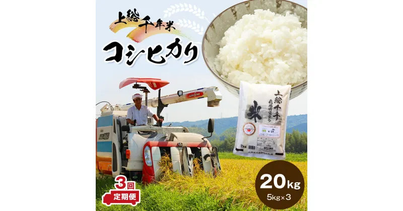 【ふるさと納税】 米 定期便 上総千年米 コシヒカリ 20kg × 3ヶ月 | 送料無料 計60kg 令和6年産 お米のソムリエが厳選 白米 精米 粒立ちが大きく 甘みもあり 粘り強い お米と雑穀の専門店 石川商店 君津 きみつ 千葉