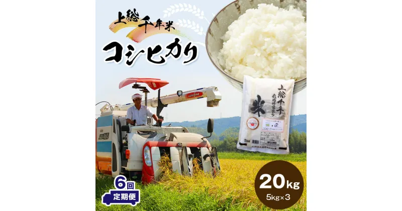 【ふるさと納税】 米 定期便 上総千年米 コシヒカリ 令和6年産 20kg 6ヶ月 計120kg | 送料無料 お米のソムリエが 選 白米 精米 粒立ちが大きく 甘みもあり 粘り強い お米と雑穀の専門店 石川商店 君津 きみつ 千葉