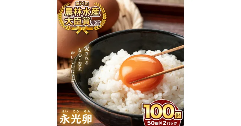 【ふるさと納税】【 レビューキャンペーン 】おいしい 卵 たまご 永光卵 100個 | 送料無料 えいこうらん 光永ファーム 50個入り × 2箱 みつなが ゆうパック 君津市 きみつ 千葉県