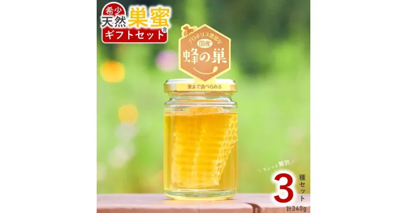 【ふるさと納税】【 レビューキャンペーン 】希少 天然 蜂蜜 巣蜜 ( コムハニー ) 入 ギフト3点セット | 国産 君津市 きみつ 千葉県 プレゼント 贈答用 はちみつ工房 国産 巣 の ザクザク 食感 ジュワっと 広がる 蜜 の 甘み 千葉 君津 きみつ