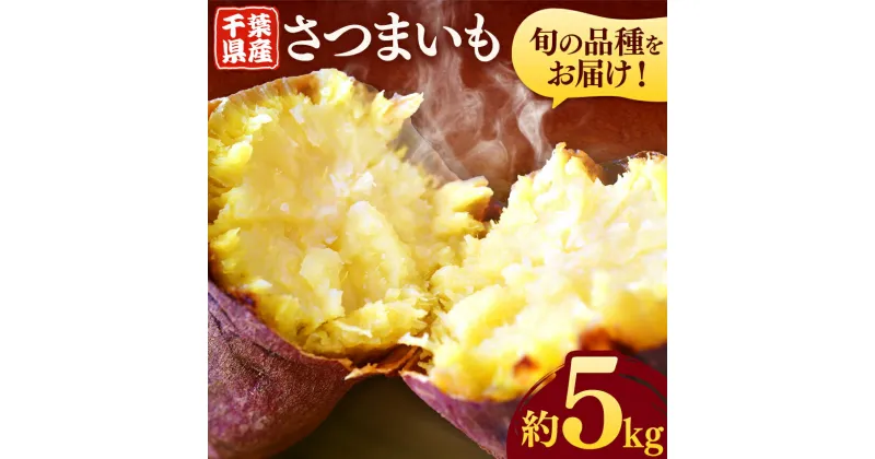 【ふるさと納税】 千葉県産 さつまいも 5kg | 送料無料 人気の直売所 新鮮 人気の直売所 直送 JA きみつ 味楽囲（みらい）さだもと店 君津市 きみつ 千葉県