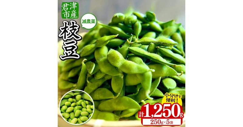 【ふるさと納税】【 小糸在来 】 君津市産 枝豆 1250g 250g×5袋 | 豆 えだまめ 枝豆 こいとざいらい おつまみ 送料無料 山のうなぎ農園 農家直送 君津市 きみつ 千葉県