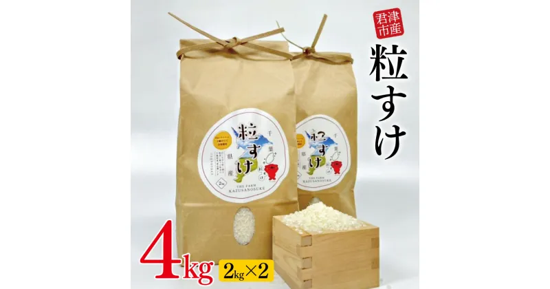 【ふるさと納税】 【新米・1週間以内に発送】 君津市産 粒すけ 2kg × 2袋 計4kg | 新米 しんまい 米 こめ お米 おこめ すぐ発送 すぐ 精米 白米 大つぶ 千葉県のブランド米 千葉県 君津市