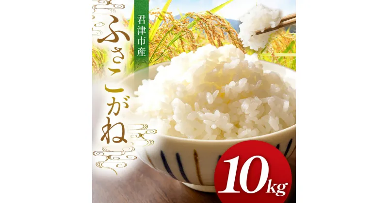 【ふるさと納税】【新米 1週間以内に発送】令和6年産 君津産 ふさこがね（精米） 5kg×2袋　合計10kg | 新米 しんまい 米 コメ こめ お米 すぐ発送 すぐ 千葉県産 千葉県 君津市 きみつ JAおびつ