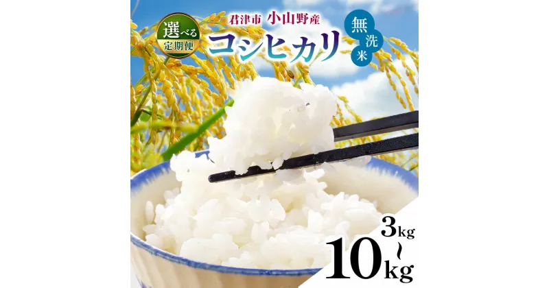 【ふるさと納税】【新米 1週間以内に発送】令和6年産 君津市小山野産 コシヒカリ 無洗米 3kg～10kg 1回・3回・6回 新米 しんまい 選べる数量 回数 千葉県産 こしひかり むせんまい 米 コメ こめ お米 すぐ発送 すぐ 千葉県 君津市 きみつ あかかげ農園 千葉稲作