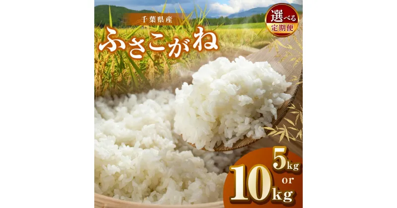 【ふるさと納税】【新米 】【選べる容量・回数】令和6年産 君津産 ふさこがね 5kg or 10kg 新米 しんまい 米 コメ こめ お米 定期便 定期 3回 6回 千葉県産 千葉県 君津市 きみつ JAさだもと