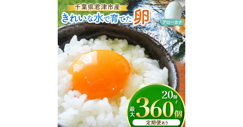 【ふるさと納税】【選べる容量・回数】きれいな水で育てた卵 アローカナ 20個 or 30個 | 保坂農場 あろーかな 卵 たまご 定期便 定期 3回 6回 12回 君津市産 千葉 君津 きみつ 房総