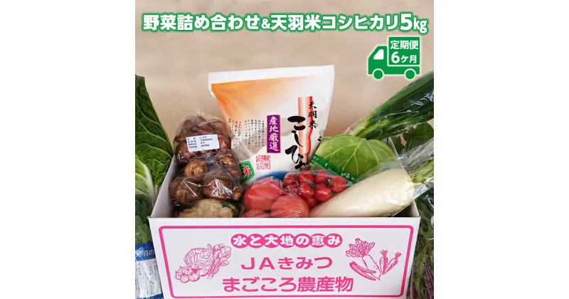 【ふるさと納税】定期便 6ヶ月 野菜 農産物 農作物 米 コシヒカリ 天羽米 おすすめ 国産 旬 新鮮 詰め合わせ セット BOX 詰合せ お楽しみ 毎月お届け毎月1回 計6回 半年 JA 農協