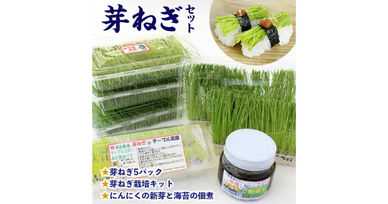 【ふるさと納税】ねぎ 芽ねぎ 佃煮 セット 詰め合わせ 野菜 農産物 おすすめ 農薬 不使用 未使用 無添加 自由研究 栽培 体験 キット にんにく 新芽 海苔 つくだ煮 料理 年越し 蕎麦 雑煮 おせち 寿司 鍋 ビタミン ミネラル 栄養 瓶詰 夏休み こども 特選