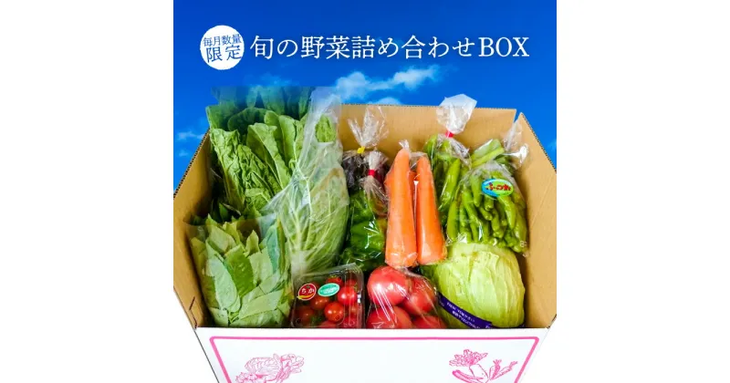 【ふるさと納税】野菜 農産物 旬 詰め合わせ BOX お楽しみ 国産 千葉県産 詰め合わせ セット JAきみつ 農家のこだわり