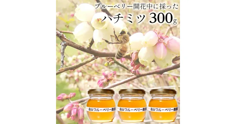 【ふるさと納税】はちみつ 蜂蜜 ハチミツ 300g ブルーベリー 桜 百花蜜 遠山ブルーベリー農園産 山中養蜂 国産