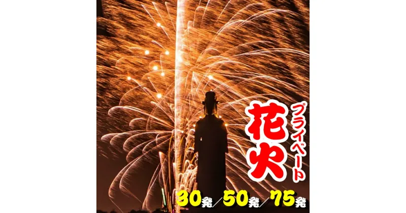 【ふるさと納税】 プライベート花火 個人向け 打ち上げ花火 花火 2～4号玉 計30発 誕生日 記念日 プロポーズ 結婚 結婚記念日 還暦祝い 入学祝い 卒業祝い お祝い サプライズ プレゼント 千葉県 富津市 立石煙火製造所