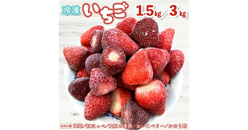 【ふるさと納税】いちご フルーツ 果物 ストロベリー ベリー 冷凍 おすすめ 完熟 1.5kg 1パック 3kg 1kg×3パック 数量限定 期間限定 富津アクアファーム 章姫 紅ほっぺ 真紅の美鈴 おいCベリー かおり野 黒いちご 送料無料 千葉県 富津市