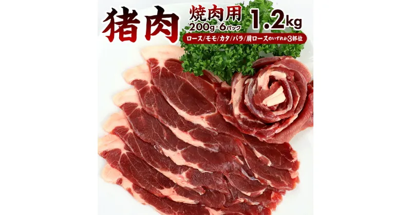 【ふるさと納税】ジビエ 猪肉 イノシシ 焼肉 冷凍 ALSOK 房総ジビエ 焼肉用 3部位 200g×6パック 計1.2kg 肉 スライス ロース モモ カタ バラ 肩ロース 丼 BBQ 国産ジビエ認証 キャンプ アウトドア トレーサビリティ