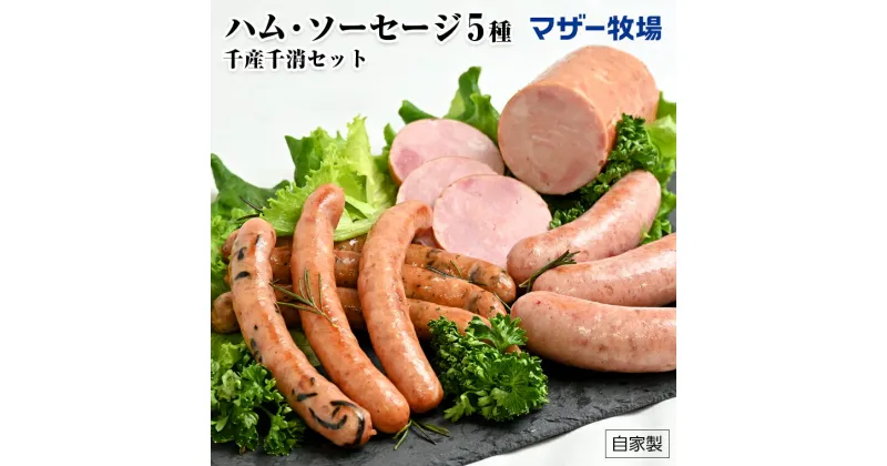 【ふるさと納税】ハム ソーセージ 5種 マザー牧場 おすすめ 手づくり 千産千消 セット 肉 名水もち豚 ボンレスハム ウインナー フランクフルト あらびき 粗びき ブラウンマッシュルーム ひじき マスタード 贈答用 ギフト 贈り物 国産 自家製 おかず お弁当 惣菜 詰め合わせ