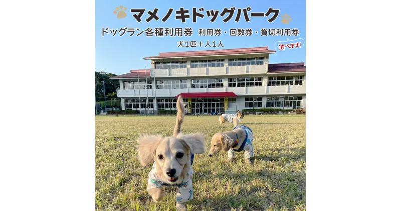 【ふるさと納税】ドッグラン チケット 券 犬 ワンちゃん ペット 回数券 貸切 貸し切り イベント マメノキドッグパーク 広い 体験 レジャー 自然 カフェ