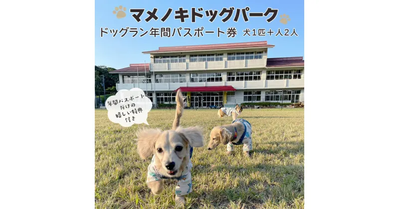 【ふるさと納税】ドッグラン チケット 券 犬 ワンちゃん ペット 年間 パスポート 特典 おやつ ドリンク 写真 貸切 貸し切り 誕生日 マメノキドッグパーク 広い 体験 レジャー 自然 カフェ