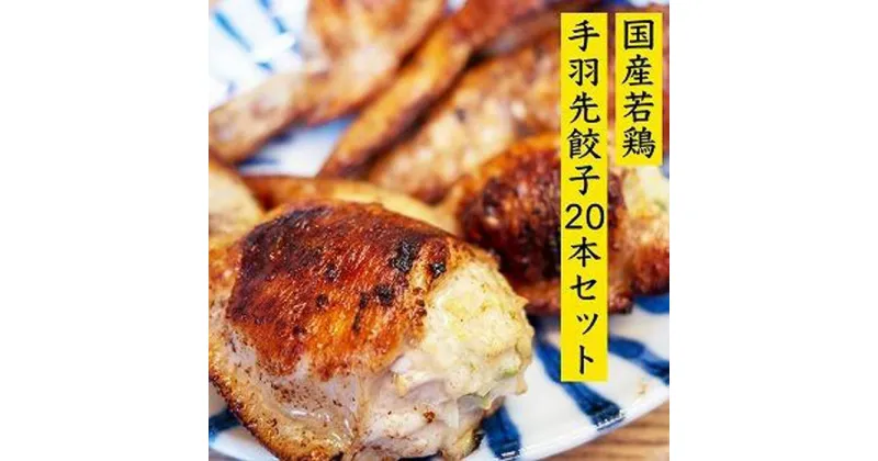 【ふるさと納税】餃子専門店が作った手羽先餃子20本入り