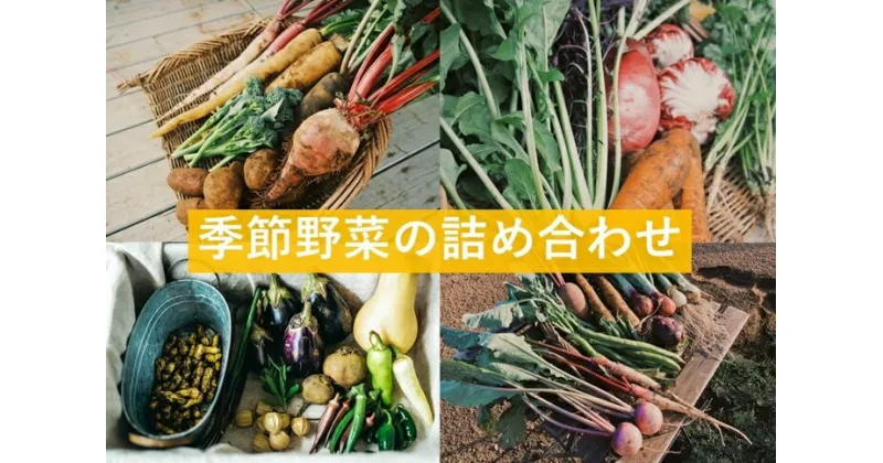 【ふるさと納税】農家キレド季節野菜の詰め合わせ / 旬 野菜 詰合せ セット