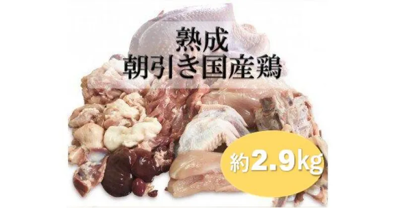 【ふるさと納税】熟成　朝引き国産鶏　約2.9kg / 鶏肉 国産 セット 小分け 鳥 一羽 オーダーメイド 手さばき