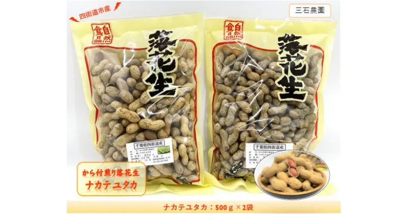 【ふるさと納税】から付煎り落花生 「ナカテユタカ」 500g×2袋 / 豆 から付 おつまみ