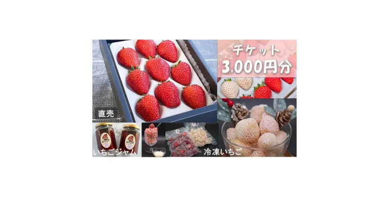 【ふるさと納税】シエルファーム いちごチケット 3000円分/ 苺 いちご