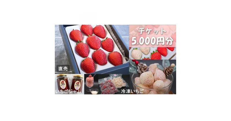 【ふるさと納税】シエルファーム いちごチケット 5000円分/ 苺 いちご