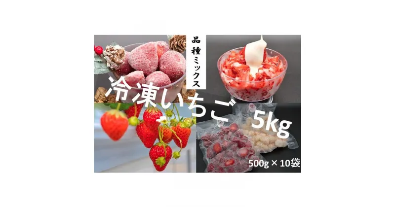 【ふるさと納税】シエルファーム 冷凍いちご 品種ミックス 5kg / 苺 千葉