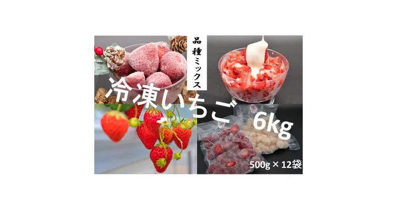 【ふるさと納税】シエルファーム 冷凍いちご 品種ミックス 6kg / 苺 千葉