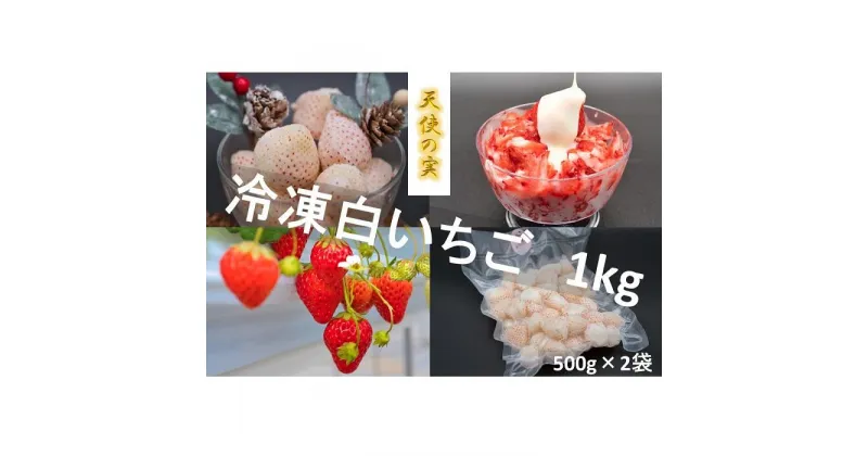 【ふるさと納税】シエルファーム 冷凍白いちご 天使の実 1kg / 苺 千葉