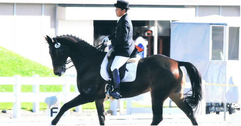 【ふるさと納税】四街道グリーンヒル乗馬クラブ 店頭利用券 50000円分 / 乗馬体験 ビジターレッスン 自馬預託料