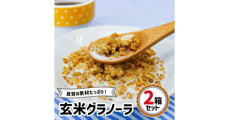 【ふるさと納税】玄米グラノーラ 2箱セット｜シリアル 穀菜食 自然食品 堅果類 全粒オーツ麦 アーモンド 小麦胚芽 クルミ [0246]