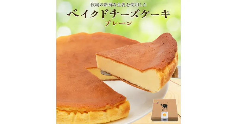 【ふるさと納税】奥野牧場ベイクドチーズケーキ ホール (大) プレーン｜チーズ ケーキ スイーツ ミルク 牧場 ギフト お祝い 袖ケ浦 [0226]