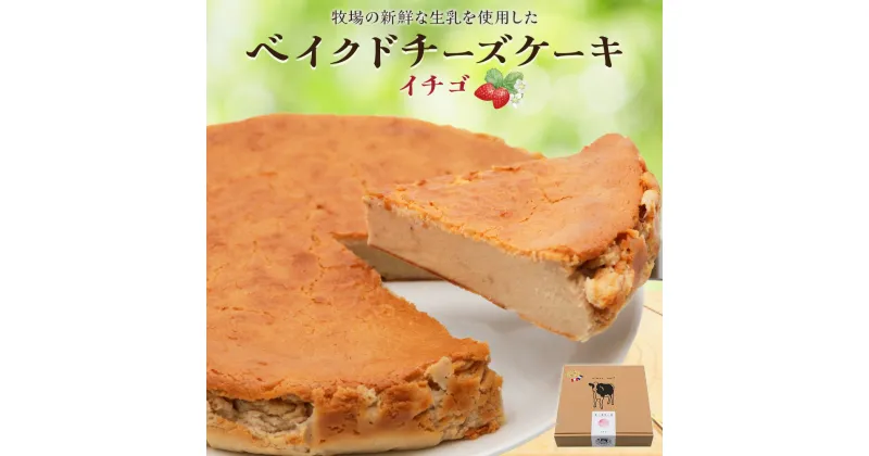 【ふるさと納税】奥野牧場ベイクドチーズケーキ ホール (大) イチゴ｜チーズ ケーキ スイーツ フルーツ ミルク 牧場 ギフト お祝い 袖ケ浦 [0228]