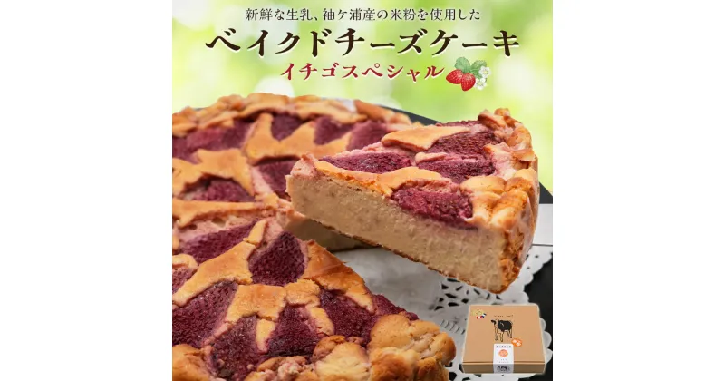 【ふるさと納税】贅沢トッピングのベイクドチーズケーキ 奥野牧場 イチゴスペシャル ホール (大)｜米粉 グルテンフリー チーズ ケーキ スイーツ フルーツ ミルク 牧場 ギフト お祝い 袖ケ浦 [0231]