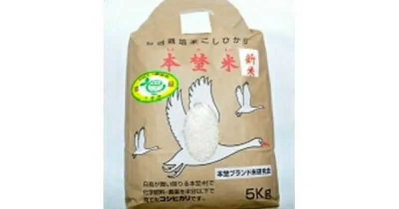 【ふるさと納税】白鳥の郷 本埜米 (こしひかり) 令和6年産 8kg｜おこめ コシヒカリ 産地 直送 千葉 印西 [0477]