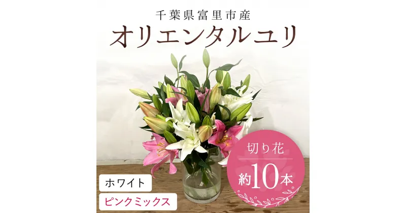 【ふるさと納税】 富里市産　オリエンタルユリ切り花（ホワイト・ピンクミックス）約10本 ふるさと納税 オリエンタルユリ おりえんたるゆり ユリ ゆり 花 はな 切り花 きりばな 送料無料 千葉県 富里市 TMG001