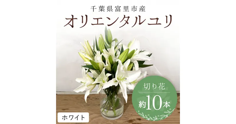 【ふるさと納税】 富里市産　オリエンタルユリ切り花（ホワイト）約10本 ふるさと納税 オリエンタルユリ おりえんたるゆり ユリ ゆり 花 はな 切り花 きりばな 送料無料 千葉県 富里市 TMG002