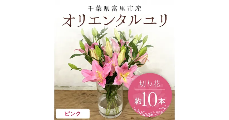 【ふるさと納税】 富里市産　オリエンタルユリ切り花（ピンク）約10本 ふるさと納税 オリエンタルユリ おりえんたるゆり ユリ ゆり 花 はな 切り花 きりばな 送料無料 千葉県 富里市 TMG003