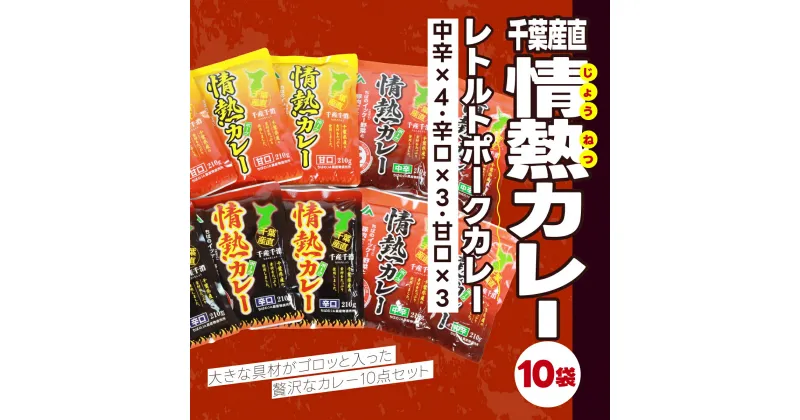 【ふるさと納税】 千葉産直情熱カレー10袋セット(中辛×4、辛口×3、甘口×3）レトルトポークカレー カレー かれー curry ポークカレー レトルト レトルトポークカレー 10袋 セット 贅沢 ボリューム 地産地消 JA富里 農協 ちば 千葉県産とみさと 富里 富里市 TMF007