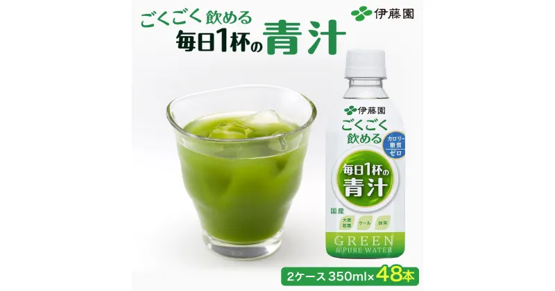 【ふるさと納税】【伊藤園】 ごくごく飲める！ 毎日1杯の青汁 2ケース （350ml×24本） ペットボトル 大容量 青汁 伊藤園 ペットボトル 健康 効果 おすすめ 飲みやすい すっきり 無糖 ダイエット 国産 350ml 無糖 あおじる アオジル 青じる 健康 箱買い ケース 国産 TMP005