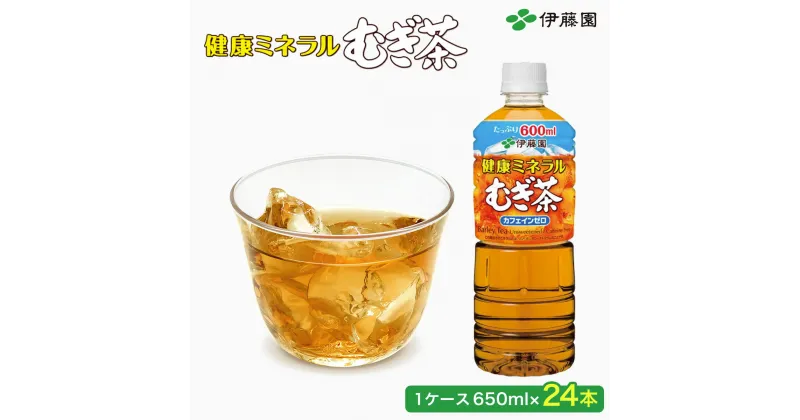 【ふるさと納税】【伊藤園】健康ミネラルむぎ茶 1ケース（650ml×24本） 麦茶 伊藤園 ペットボトル お茶 650ml 茶 お茶 おすすめ 常温 常温保存 伊藤園 麦茶 健康ミネラルむぎ茶 むぎちゃ むぎ茶 ミネラル カフェインゼロ 健康 箱買い ケース 大容量 国産 TMP009