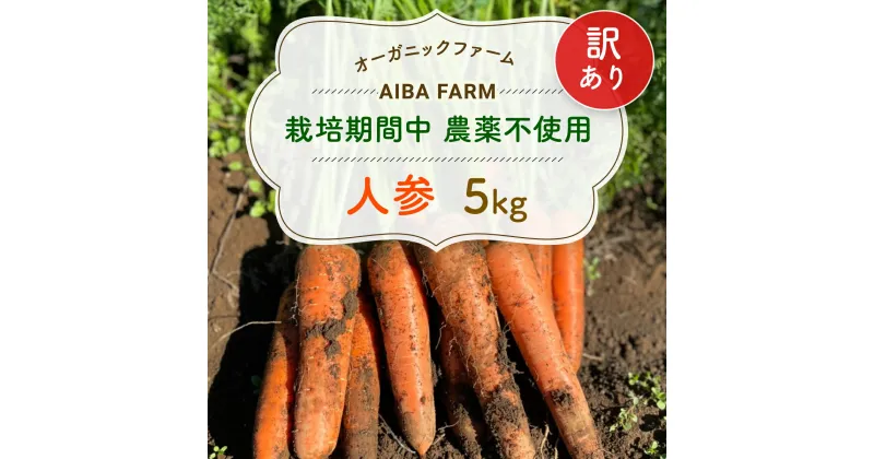 【ふるさと納税】【12月～2月発送】【栽培期間中農薬不使用】訳あり人参 5kg オーガニックファーム AIBA FARM　B品 / 野菜 にんじん 人参 ニンジン 特産 甘い 訳あり 不揃い B級 オーガニック organic フードロス 千葉県 富里市 TML006