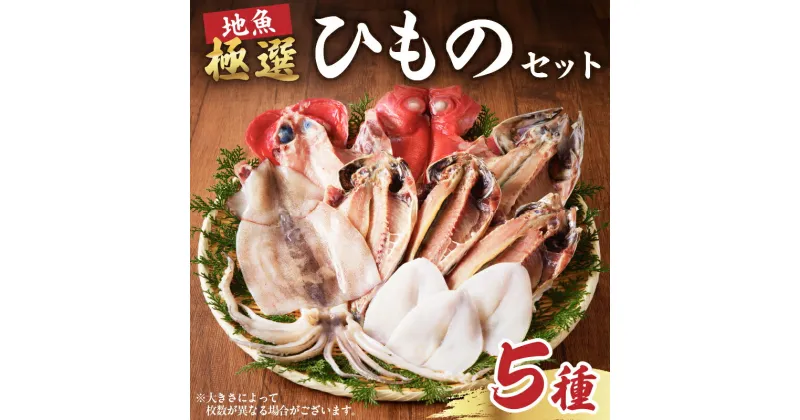 【ふるさと納税】 地魚 極選 ひもの セット 金目鯛 真アジ スルメイカ ダルマイカ サバ 千葉県 南房総市 食品 魚 国産 お取り寄せ グルメ 食べ比べ 詰め合わせ ぷりぷり 海の幸 おかず おつまみ 送料無料