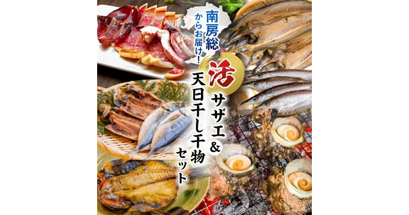 【ふるさと納税】 南房総産活サザエ 天日干し干物セット 千葉県 南房総市 魚介 海産物 干物 サザエ 金目鯛 サバ 真あじ かます いか 天然塩 新鮮 詰め合わせ ハイパック 再冷凍可能 送料無料