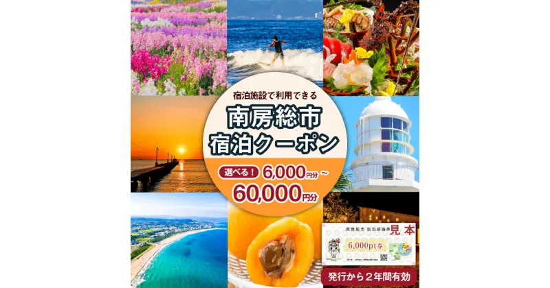 【ふるさと納税】【枚数が選べる】 南房総市 宿泊施設で利用できる 感謝券 旅行 チケット 関東 千葉 旅行券 宿泊券 リゾート 宿泊 海 サーフィン 自然 観光 あわび 海鮮 伊勢海老 海老 海産物 フルーツ 野菜 温泉 民宿 旅館 ホテル ギフト